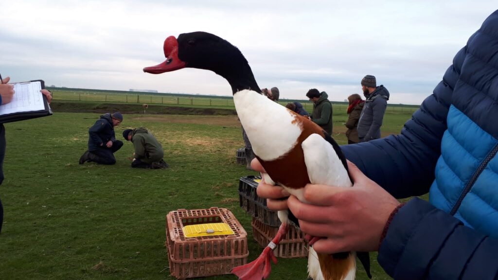 1699887193-7c32a23ff05e6b6a61912aeb08135eacf7e04f2b-Project-Penelope-4