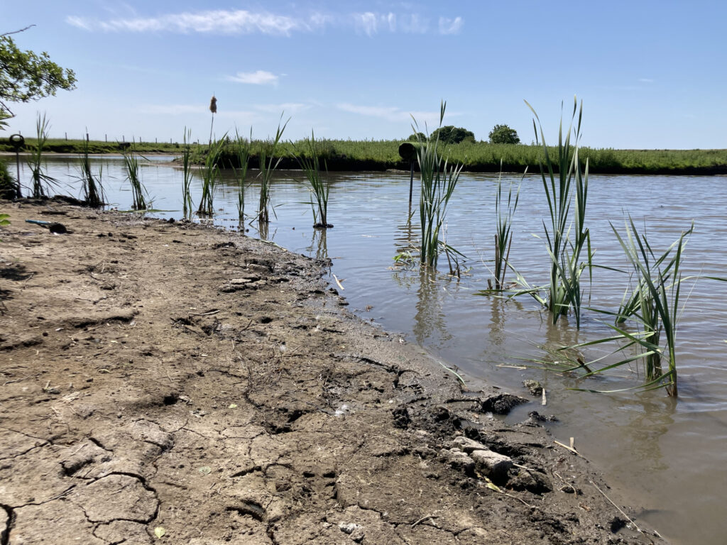 Hutton-Proj-1-2000x1500