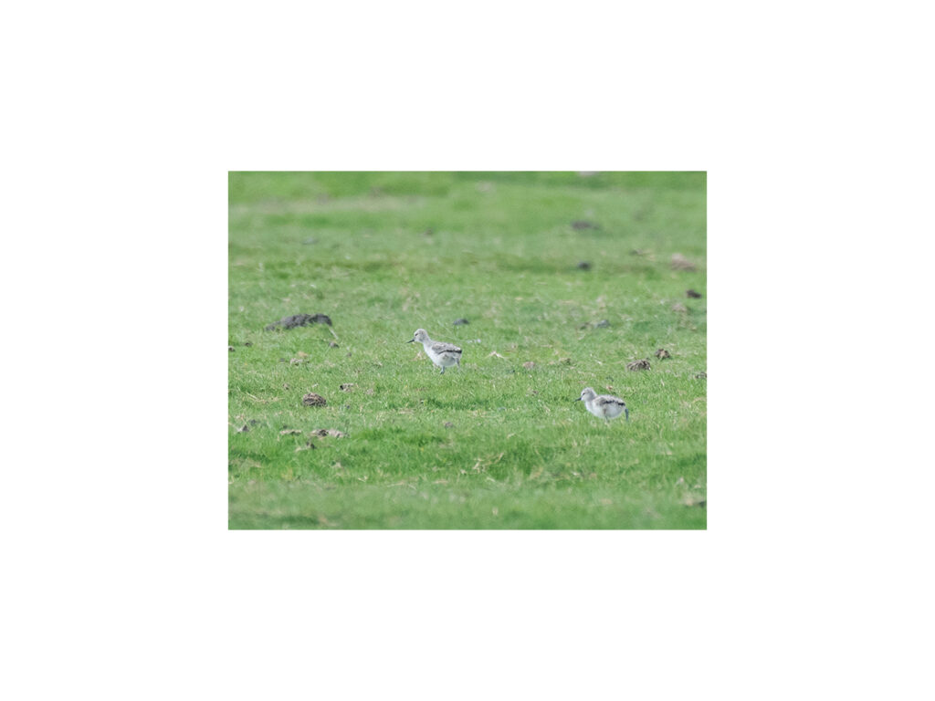 Hutton-Proj-11-2000x1500