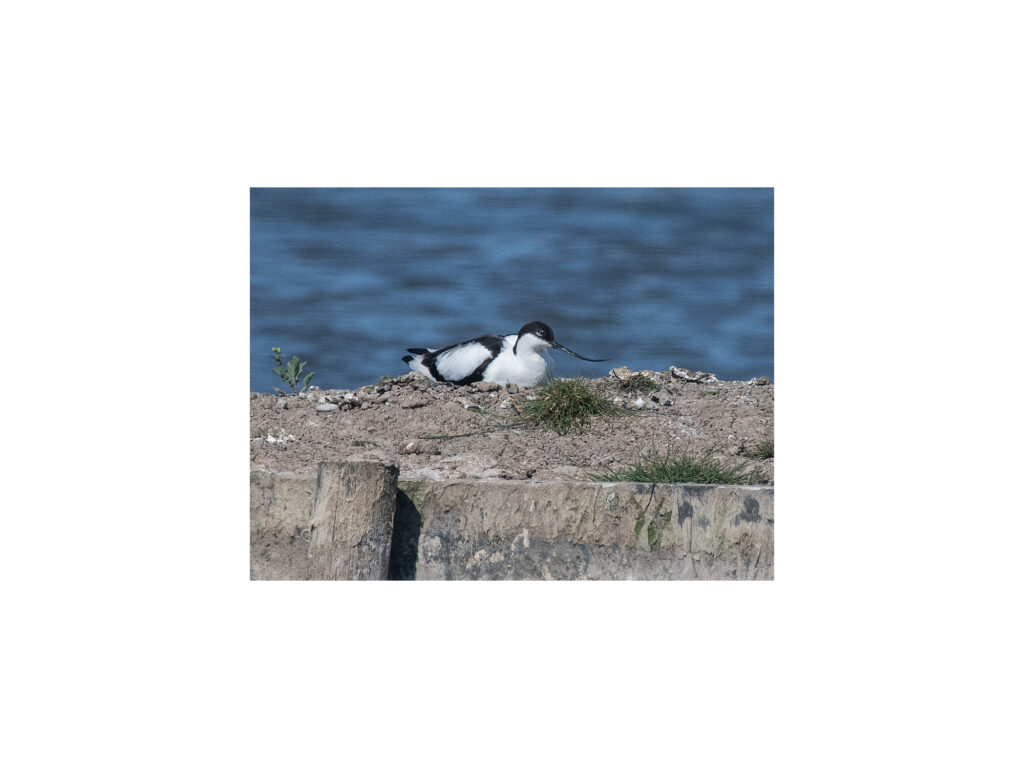 Hutton-Proj-12-2000x1500