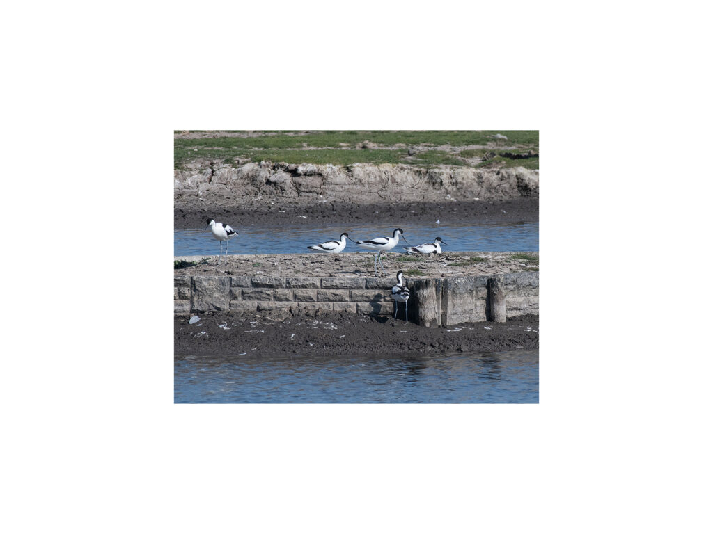 Hutton-Proj-13-2000x1500