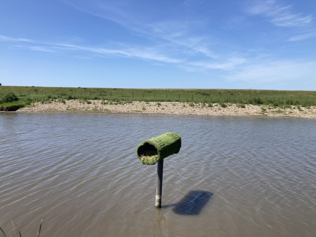 Hutton-Proj-2-2000x1500